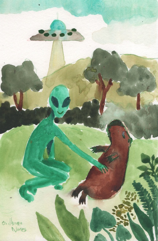 Guilherme Nunes tweet media