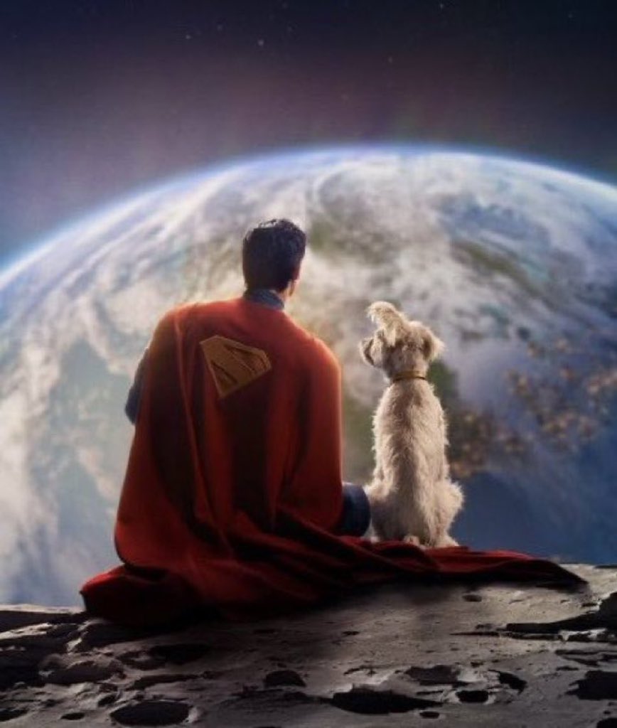 DiscussingFilm tweet media