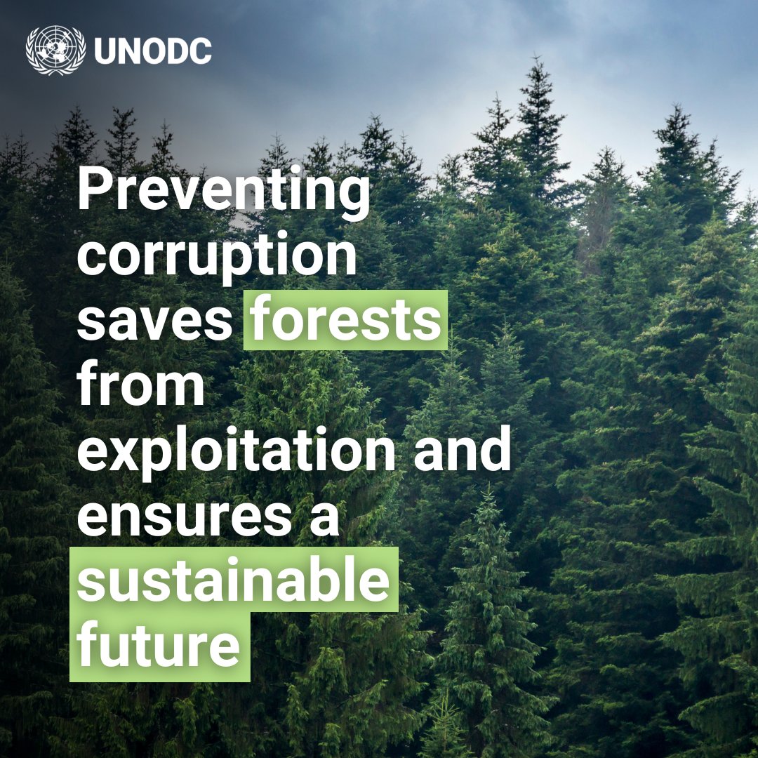 Corruption fuels forest crime. 

Effective strategies are needed for sustainability and conservation.

That is why Mozambique’s Forestry Directorate, supported by <a href="/UNODC/">UN Office on Drugs & Crime</a> &amp; <a href="/WorldBank/">World Bank</a>, is developing a comprehensive plan to mitigate corruption risks in the sector.

🙏 EU, <a href="/noradno/">Norad</a>