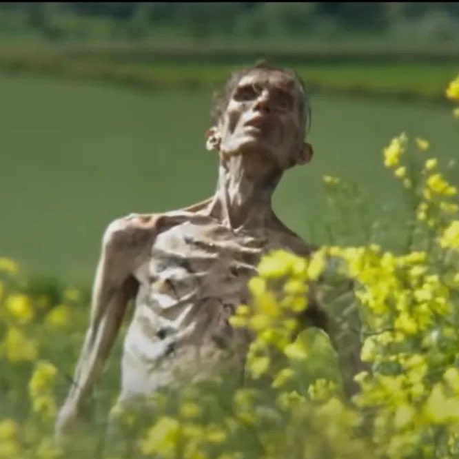 horroresia's tweet photo. Waduh…  sosok mayat hidup di trailer #28YearsLater yang dikira Cillian Murphy ternyata bukan gaes. Mayat hidup itu ternyata diperankan oleh Angus Neill. (Cr: Guardian) https://t.co/pMlVMsLKxB