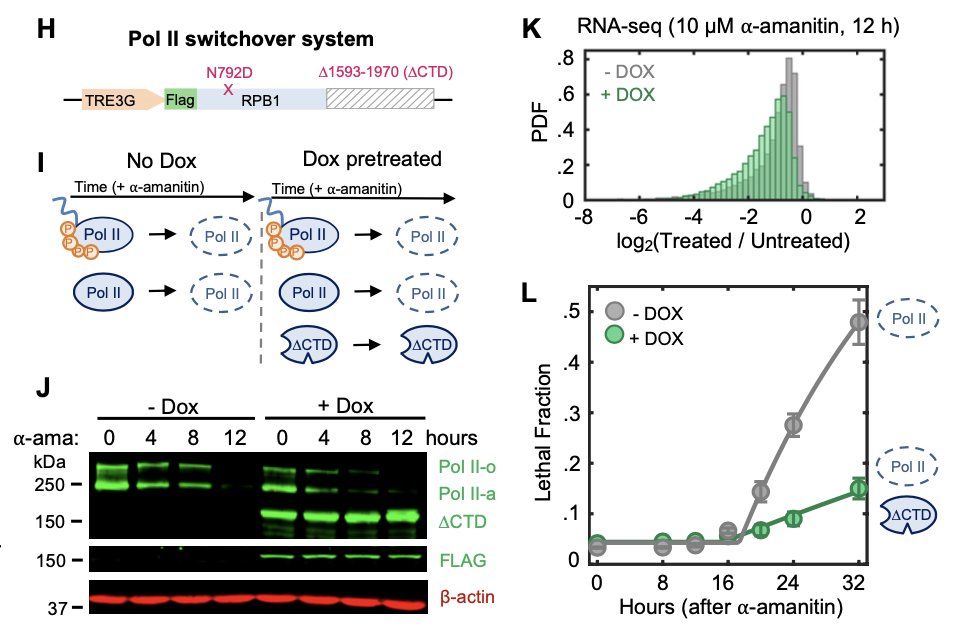 Michael J. Lee tweet media