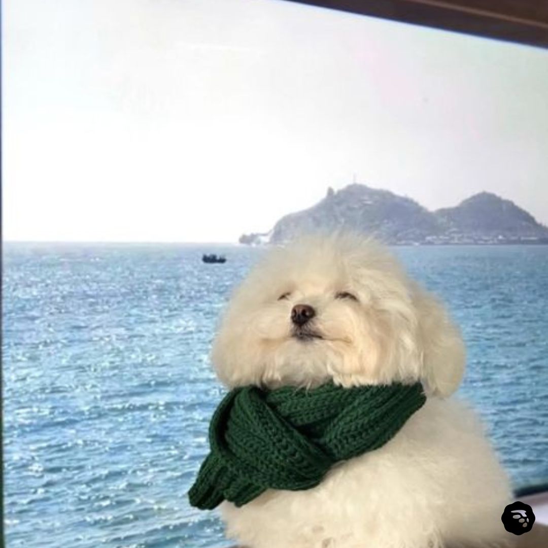 MoneyLion's tweet image. That feeling when your managing your money, paying your bills on time, and your credit scores goes up 💳 . Download the MoneyLion App today to get control over your finances! 💰 

#MoneyLion #CreditScore #MoneyHacks