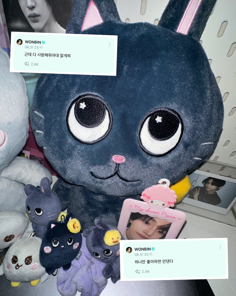 thismonthisjan's tweet photo. 🐈‍⬛: ต้องรักทุกตัวเยยน้า เข้าใจป่าว
🐈‍⬛: ห้ามรักแค่ตัวเดียวนะ https://t.co/GnWcbOI6Qs