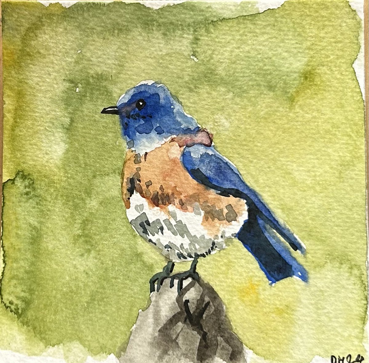 darrenhayman's tweet photo. How about my Paul McCartney’s Birds print as a last minute present idea? Also three of the original paintings are still available and are amongst the cheapest paintings I have at the moment. https://t.co/EnN7ISfsrz