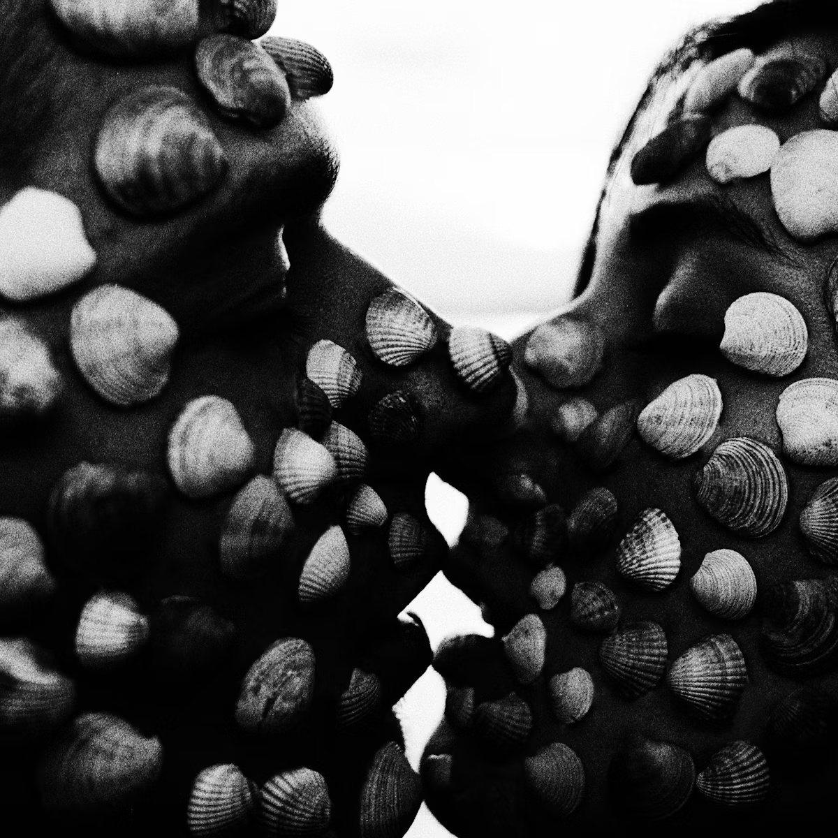 pointless0x's tweet photo. pointless artist to watch 🚨

sofi - @sofikoo_ 

with a background in cinematography, 
sofi’s storytelling unfolds as visual poetry. 
her mood drives her work, crafting captivating imagery imbued with raw emotion. ⚫

the shell story https://t.co/xhYu0DDxxC