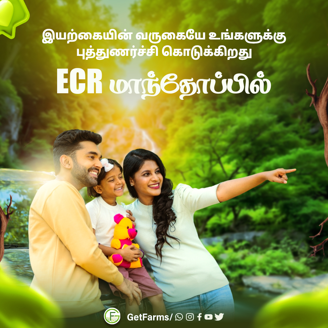 GetFarms's tweet image. ECR மாந்தோப்பு: பசுமையின் கூடாரம், இதயத்தின் அமைதி!!

#getfarms #mangofarm #farmland #mangofarmland #ECR #launch #prelaunchoffer #ecr #ecrfarm #ecrfarmhouse #nature #naturelover #organicfarm #fruitfarm #MangoTrees