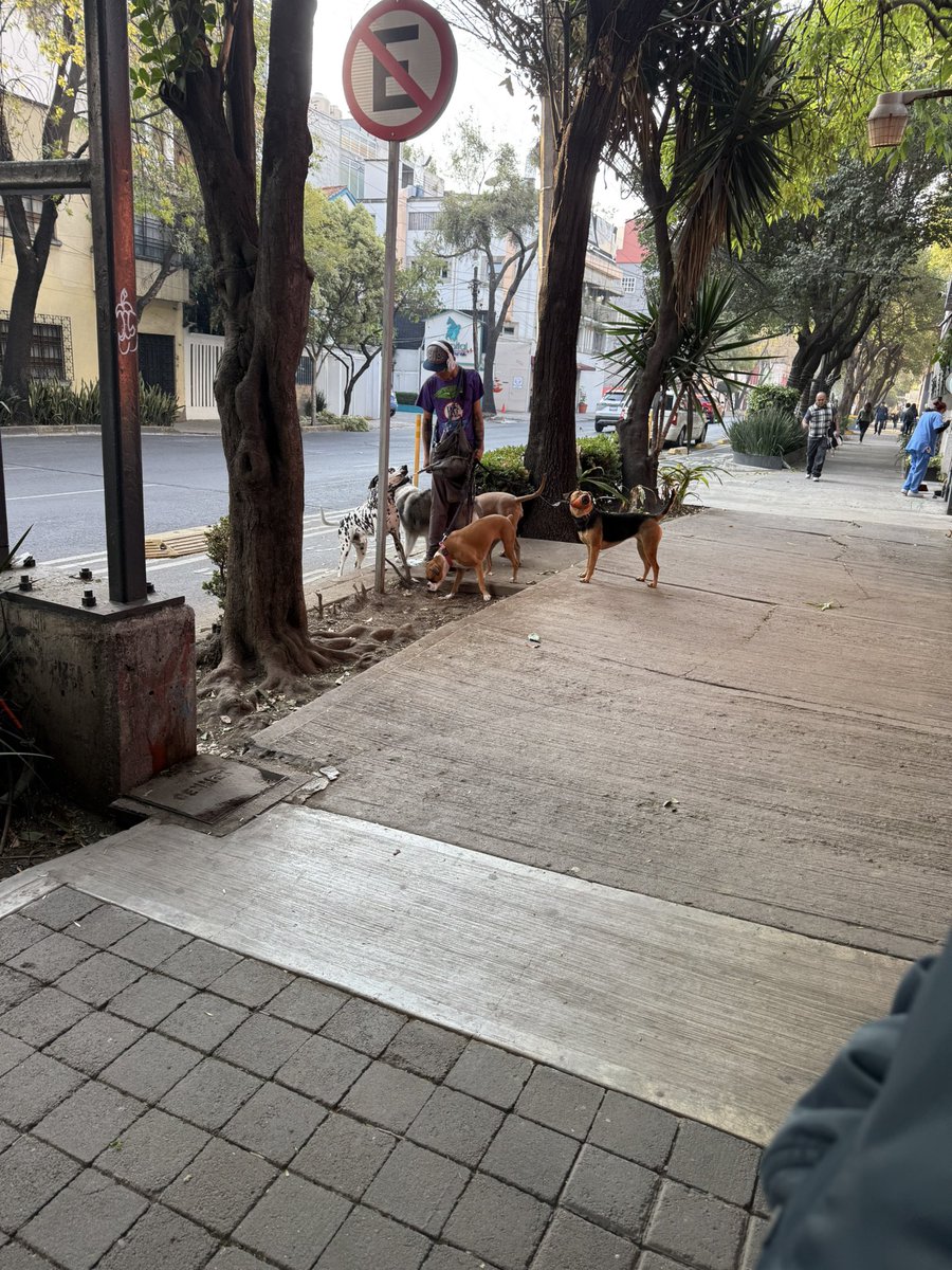 PASEADOR AGRESIVO!!
Adjunto foto de un paseador que vi en la mañana paseando unos perritos a los cuales estaba maltratando, esto en colonia del valle, ayuden a difundir para que ojalá el mensaje llegue a los dueños de estos bebés <a href="/ColDelValleBJ/">Colonia Del Valle, Benito Juarez, #CDMX</a> <a href="/LaRomaDF/">Colonia Roma 🚲</a>