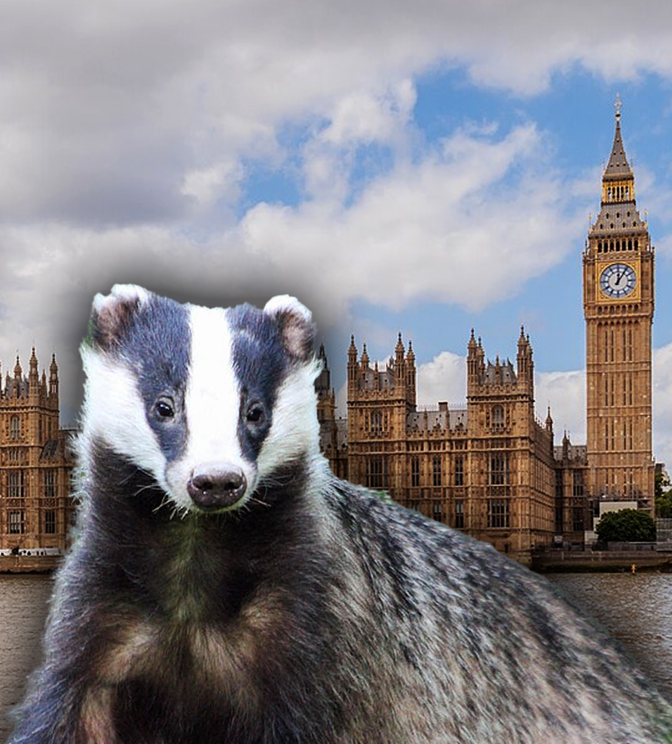 A 100,000 signatures means our petition would be considered for a parliamentary debate.

Face this cruelty head-on. —SIGN the petition and demand an end to this disgrace: petition.parliament.uk/petitions/7003…