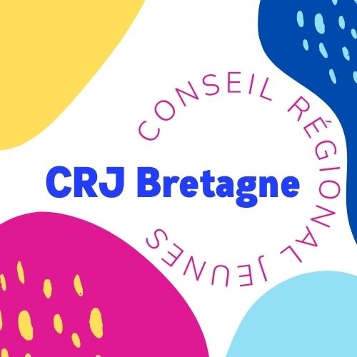 La majorité propose de réformer le conseil régional des jeunes... sans en parler aux jeunes. Iels ont découvert la réforme en même temps que nous, juste avant sa mise au vote. Pour nous, tout ce qui touche à notre jeunesse, doit être fait avec les jeunes, et pas à leur place !