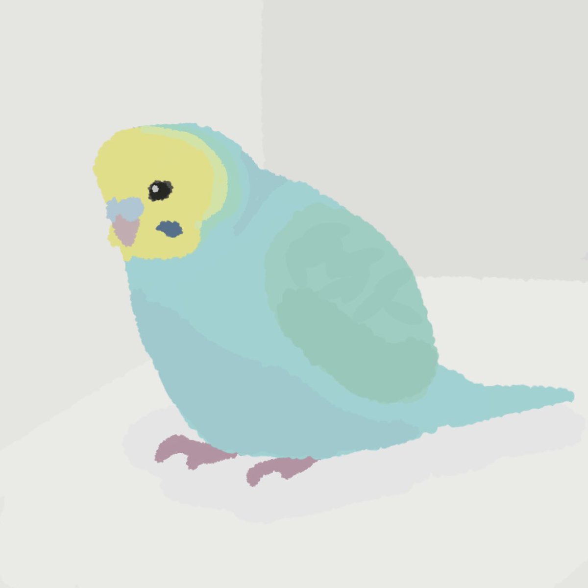 レインボーセキセイインコ