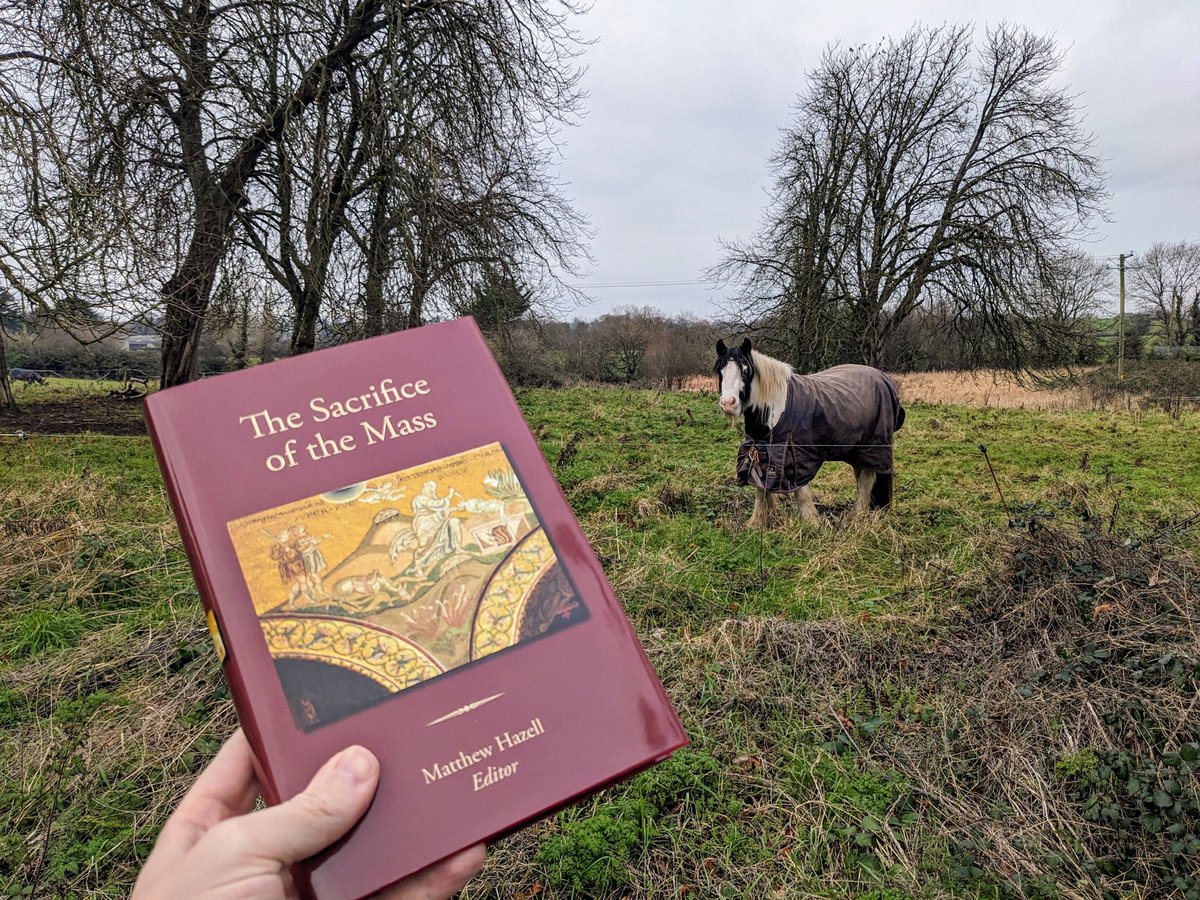 M_P_Hazell's tweet image. This lovely horse, who lives in Ireland, would like you to get a copy of the proceedings of the 2023 Fota International Liturgical Conference, edited by me and now in print! 😊