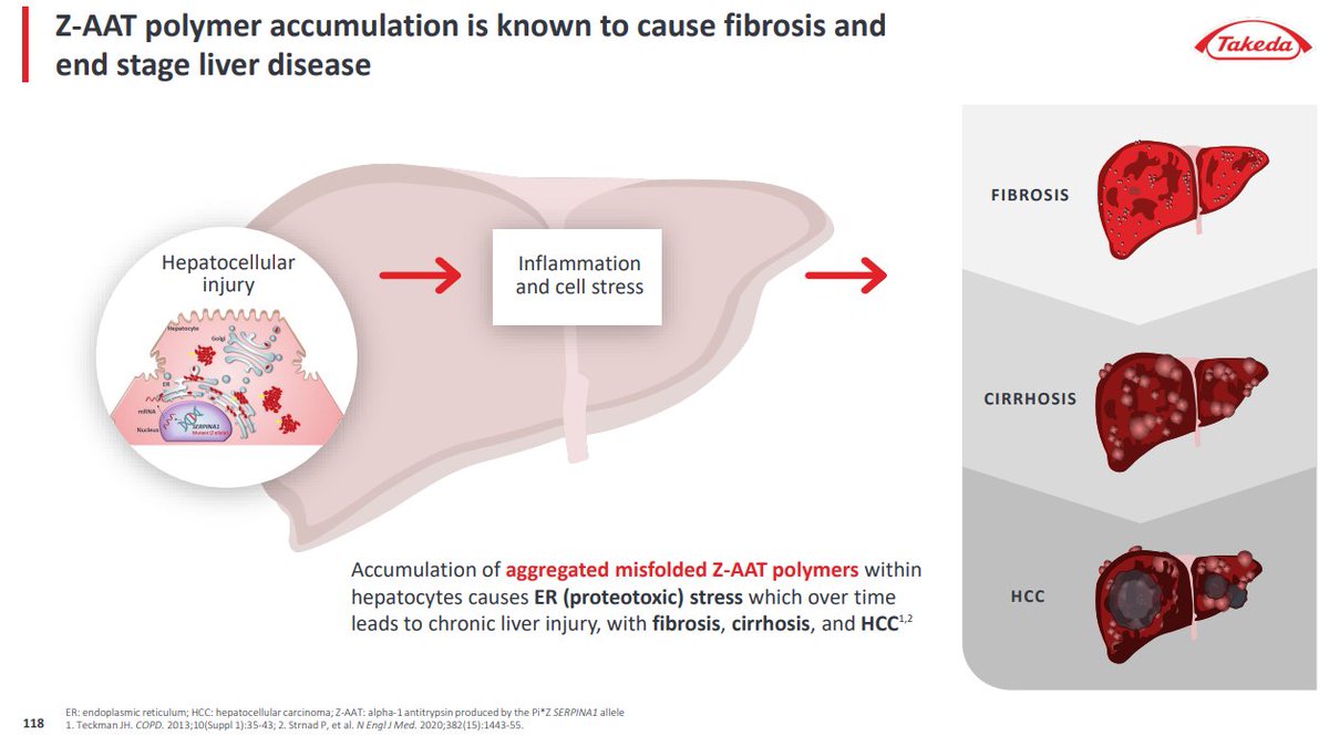 BertrandBio's tweet image. fazirsiran in AATD-LD #xRNAx
overlooked program?