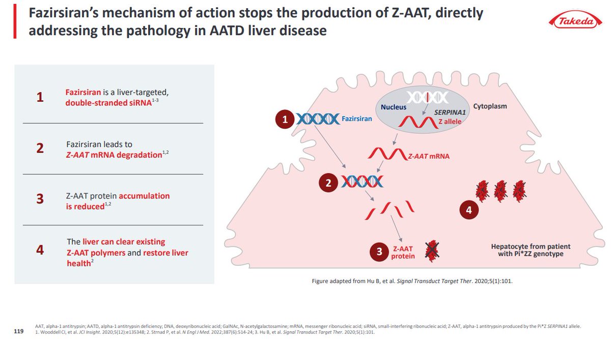 BertrandBio's tweet image. fazirsiran in AATD-LD #xRNAx
overlooked program?