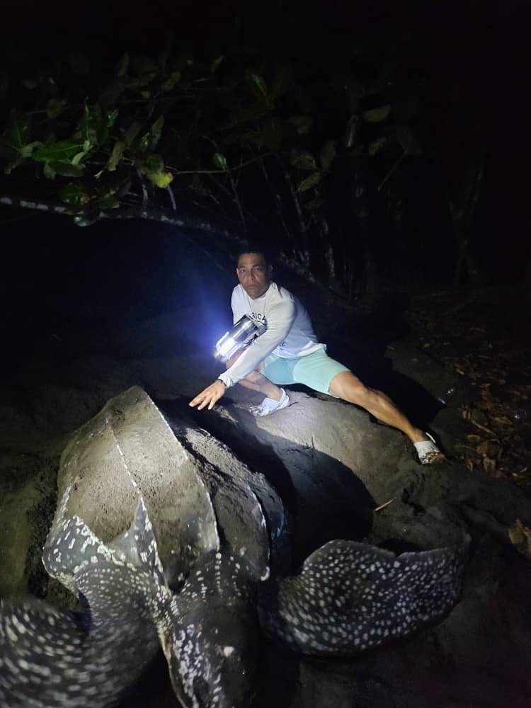 HMoiche's tweet photo. Aventuras únicas en nuestra Bonita Isla de Bioko by #Ureka Bioko Sur👉🏾🇬🇶😎 https://t.co/OoCDNG31TW