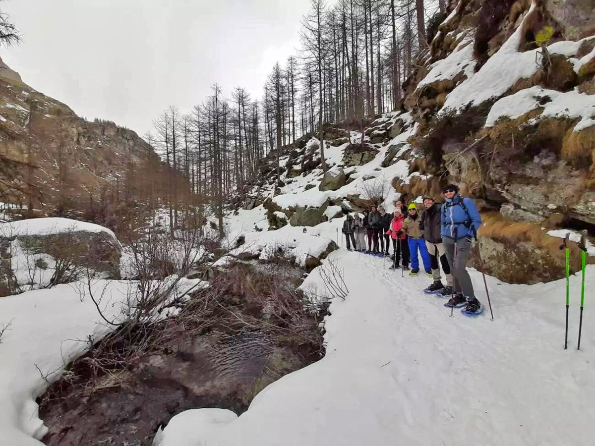 PNGranParadiso's tweet photo. Le Guide del Parco organizzano diverse attività invernali, tra cui #camminate con le #ciaspole, #escursioni e #sport: vieni a scoprirle tutte!
➡️ https://t.co/jtFfty4i0Q https://t.co/QJep3Z6k6Z