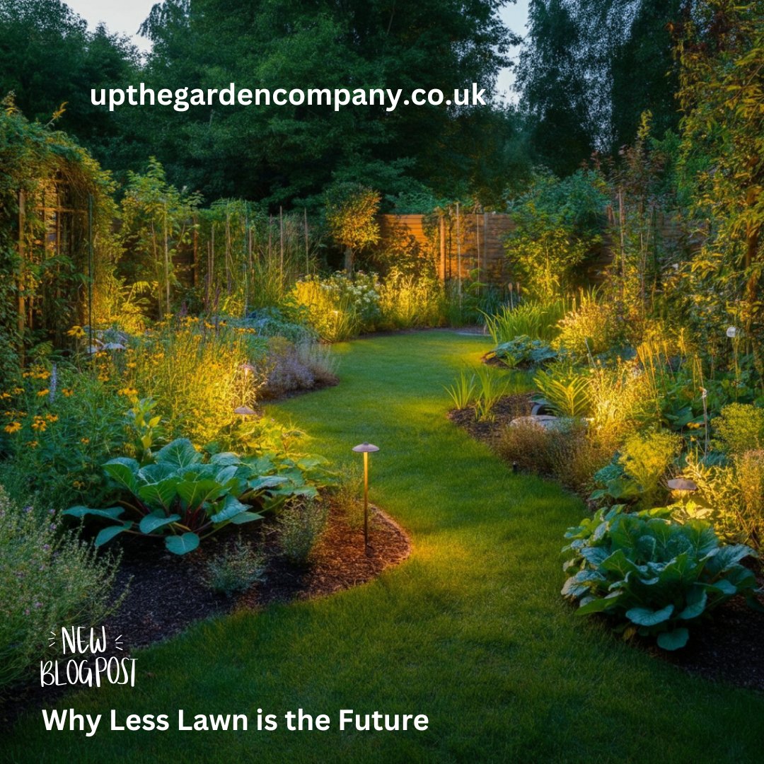 UpTheGardenCo's tweet photo. The “less lawn” movement is revolutionising how we think about our green spaces, and 2025 looks set to be the year this approach blossoms into mainstream gardening practices.
To read in full: https://t.co/7YmA4GE3CG
#lesslawn #lawns #gardenblogs #gardentrends2025 https://t.co/RhI9cmFwo5