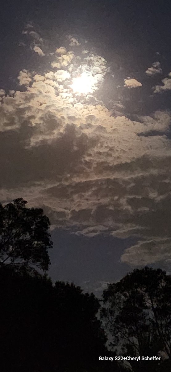 CherScheff's tweet photo. Waxing Gibbous 95.1% illuminated as it rose above the clouds.
#RisingMoon
#Sydneyskies
Friday night. https://t.co/ESSVFPovgP