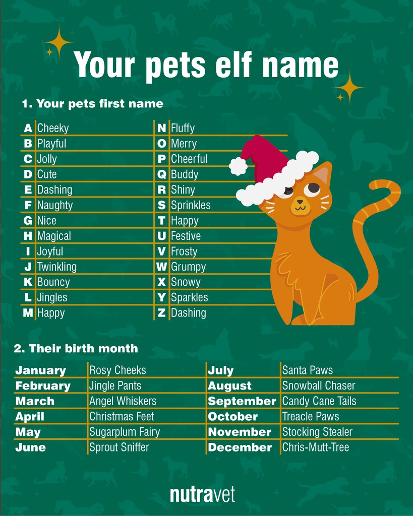 nutravet's tweet image. Some Friday festive fun....What is you pet's Elf name? 🐶🐱

#PetElfName #FestivePets #ElfNameGenerator #HolidayPets #ChristmasPets #PetNames #FestiveFriday #ElfName #PetFun