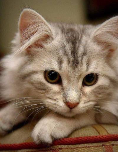 晩安
Thank you for following.💫
🥶⚡️☔️⚡️