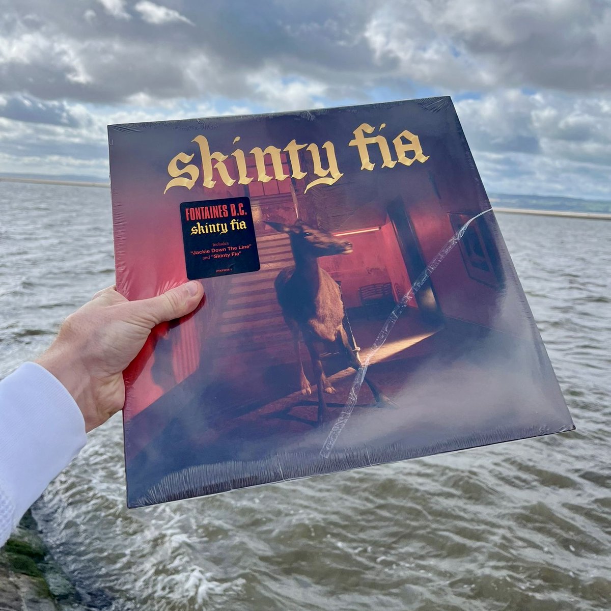 Dig Vinyl tweet media