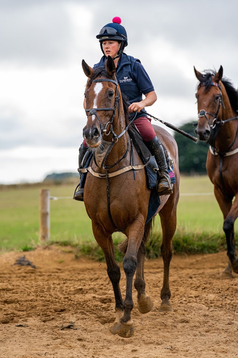 FOBRacing's tweet photo. Three @DoncasterRaces runners today - Lilting Verse (pictured), Lutinebella and Mistral Blue
@Conbrace01 and @fernobrien_ take the rides #TeamFOB https://t.co/bhdW4nlor0