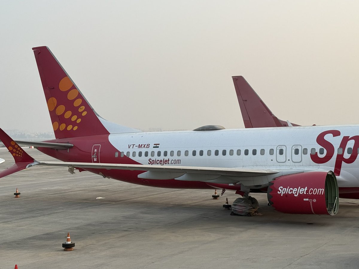 Steve Giordano tweet media