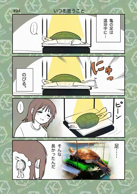 亀飼い4コマ「いつも思うこと」 
