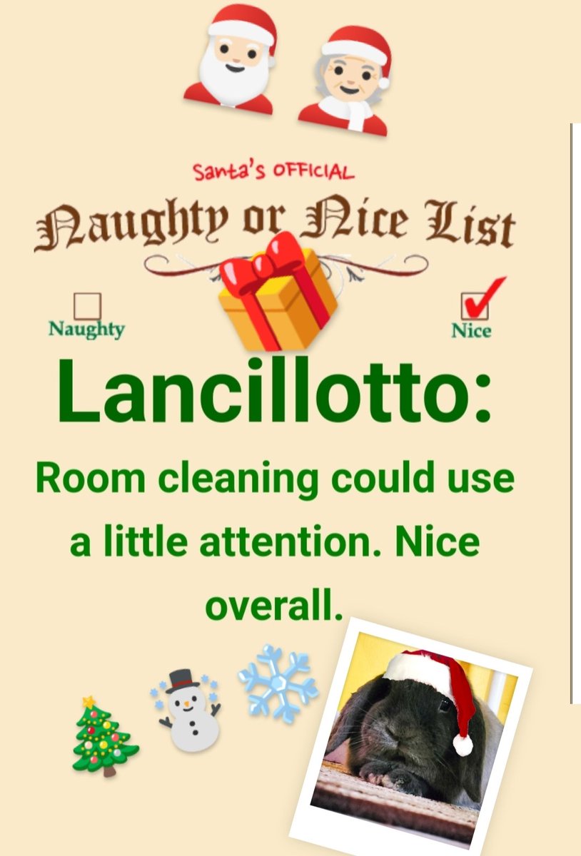 And so... Here we are again ❄️☃️🎄 Seems Santa 🧑🏻‍🎄🎅🏻will deliver some tasty treats 🎁to the fluffy ones 🐰🐰