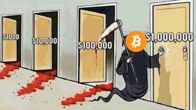 Deep Whale tweet media