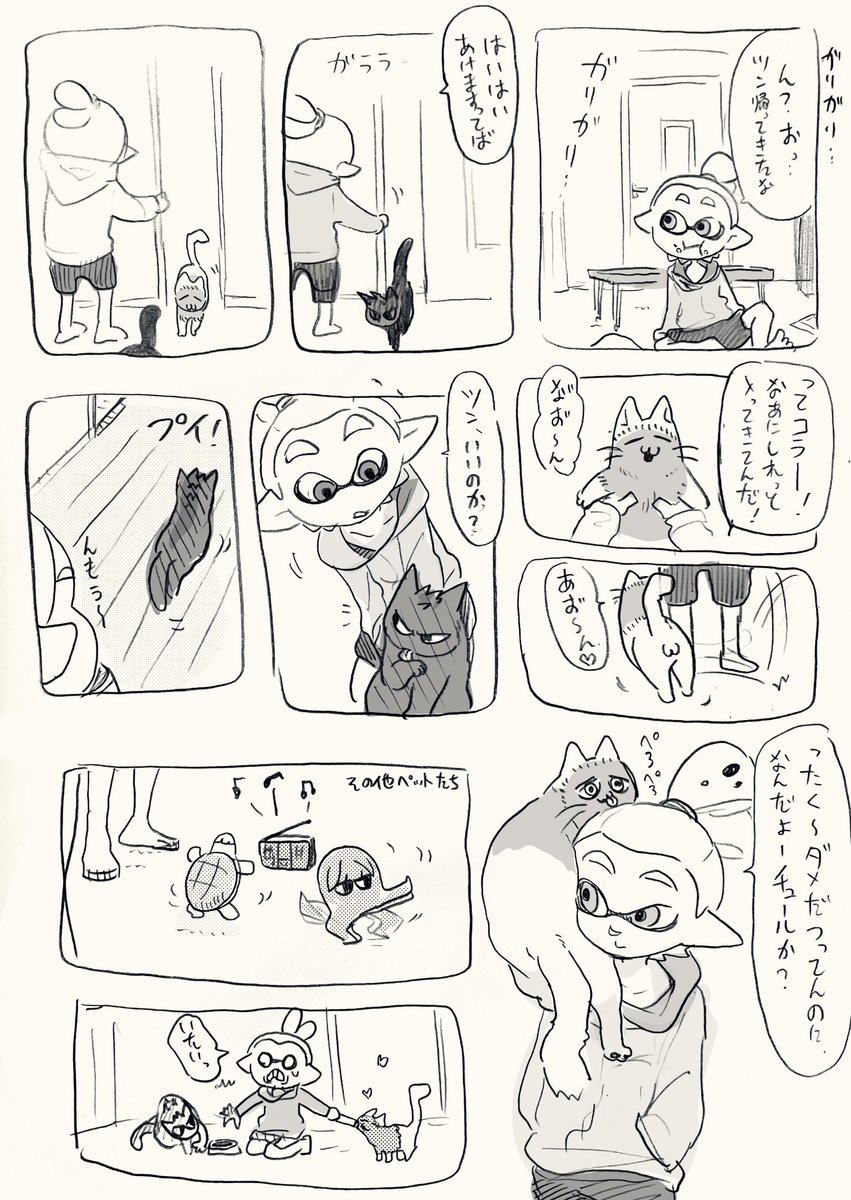 野良猫 