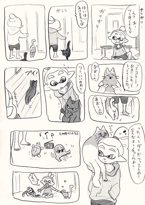 野良猫 