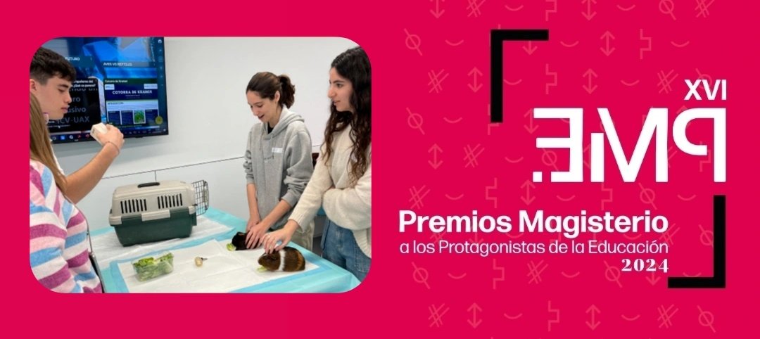 Magisnet's tweet image. 🏆Premios Magisterio🏆

👩🏻‍🏫 @uaxuniversidad y @Achalay_ Premiados por su contribución a la plena inclusión formativa y profesional del alumnado en riesgo de exclusión social.

🗓️ 17 de diciembre 

#PME2024

👇Echa un vistazo y acompáñanos👇
youtube.com/live/xZMWTO65P…