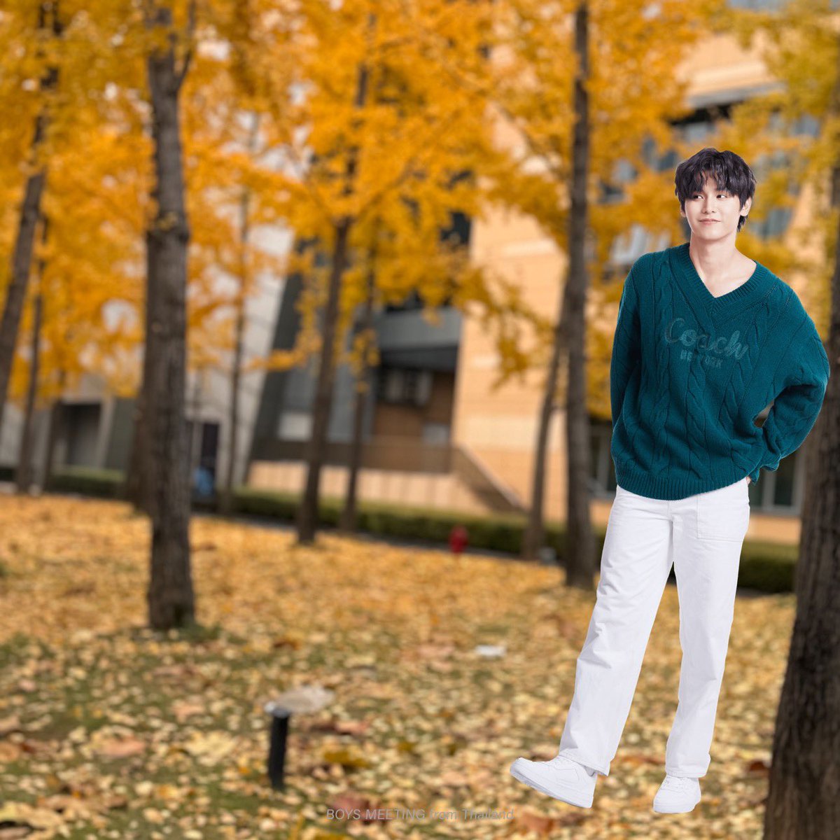 JaFirstNo1's tweet photo. 🍂🍁
 #jacamera
 #JaPhachara https://t.co/rH6DT06sai