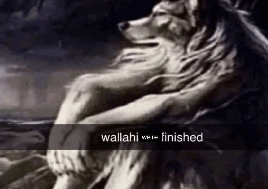 GroundZero000🍉 tweet media