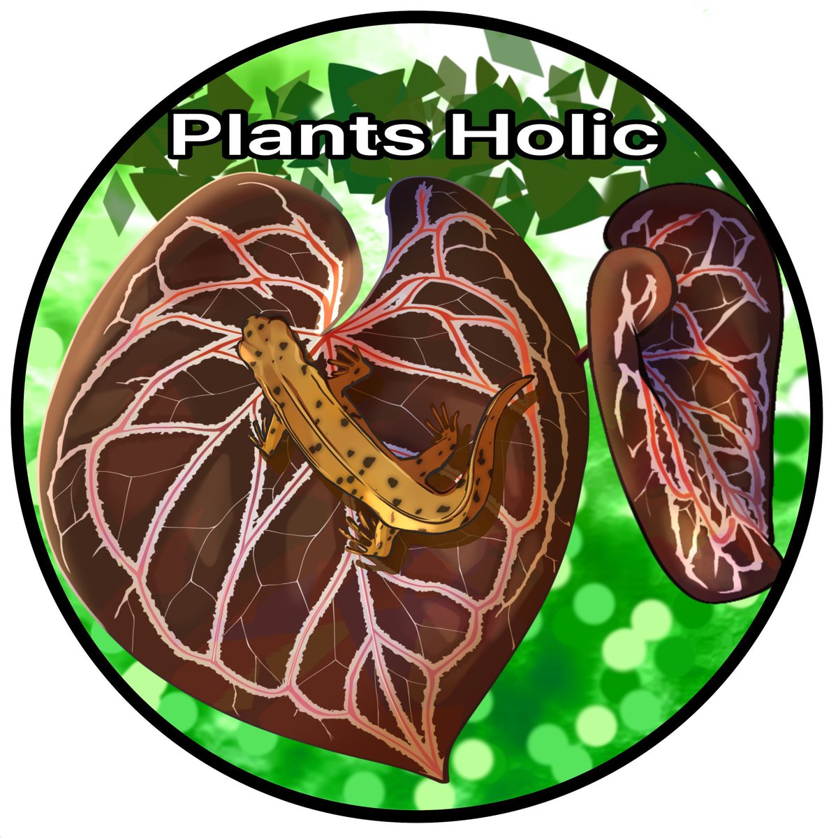 Holic_Plants (ホリック) (@PlantsH58991) / Posts / X