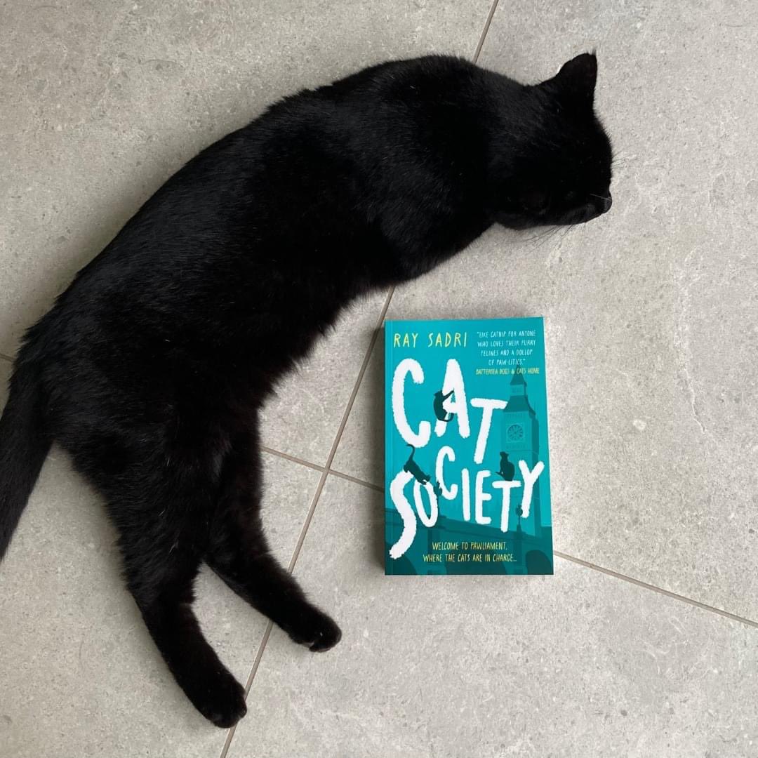 THE PURRFECT STOCKING FILLER THIS CHRISTMAS! 🐈‍⬛📚🎄

There are just a handful of copies of Cat Society left on Amazon. Grab yours today in time for Christmas. Purrfect for that cat / politics aficionado in your life…

#cats #CatsLover #catsociety #books #FridayVibe #christmas