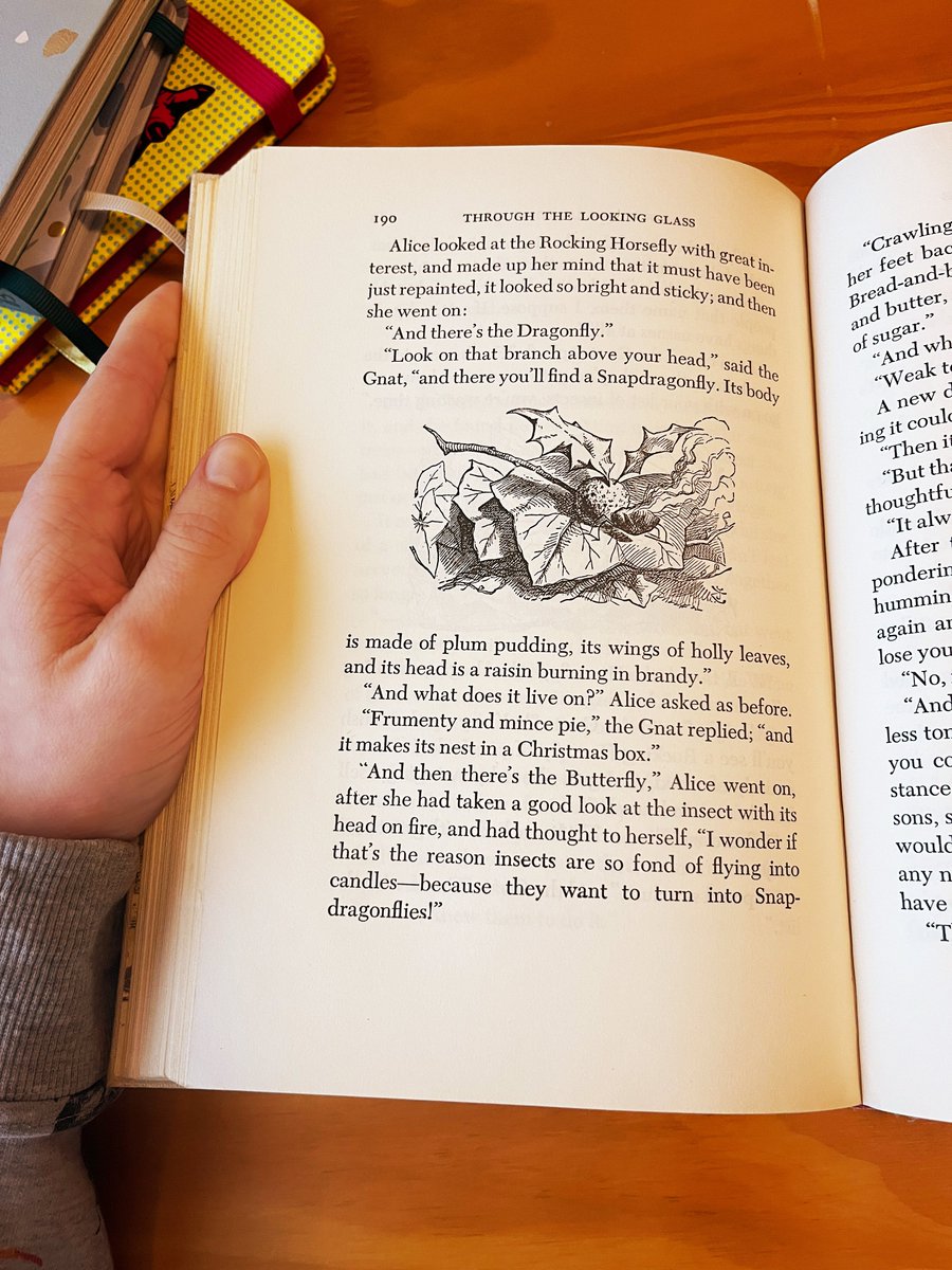 Never completely understood the Snapdragon passage from Through the Looking Glass until now!