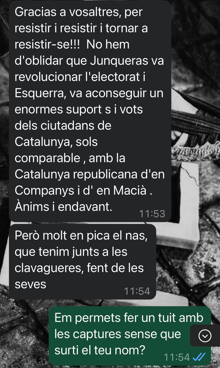 ✳️ Silvia Saiz Saiz 🏳️‍🌈🇵🇸🇨🇺🇩🇴🐸 tweet media