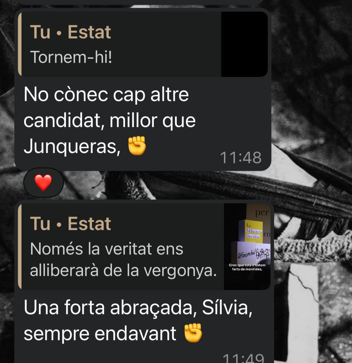 ✳️ Silvia Saiz Saiz 🏳️‍🌈🇵🇸🇨🇺🇩🇴🐸 tweet media