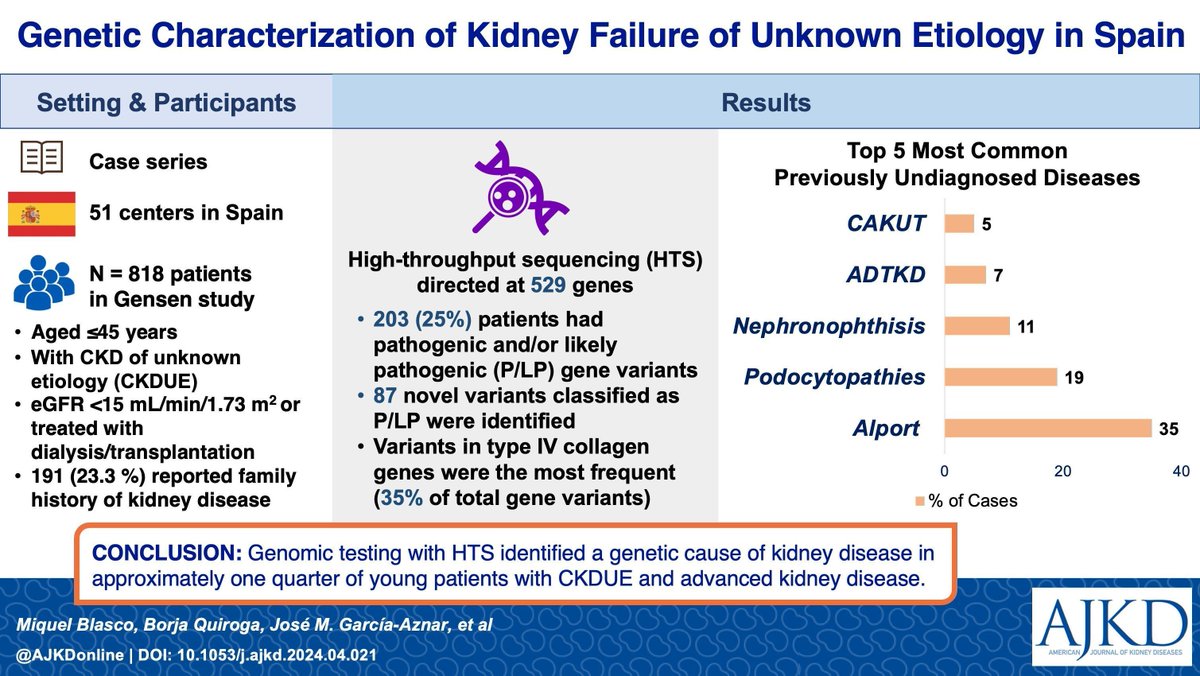 AJKD (@ajkdonline) on Twitter photo Genetic Characterization of Kidney Failure of Unknown Etiology in Spain: Findings From the GENSEN Study
bit.ly/4faYO6u
@Miki_Blasco <a href="/Dr_Bqg/">Borja Quiroga</a> <a href="/torra_roser/">Roser Torra</a> <a href="/DePsequera/">Patricia de Sequera</a> #VisualAbstract Genetic Characterization of Kidney Failure of Unknown Etiology in Spain: Findings From the GENSEN Study
bit.ly/4faYO6u
@Miki_Blasco <a href="/Dr_Bqg/">Borja Quiroga</a> <a href="/torra_roser/">Roser Torra</a> <a href="/DePsequera/">Patricia de Sequera</a> #VisualAbstract