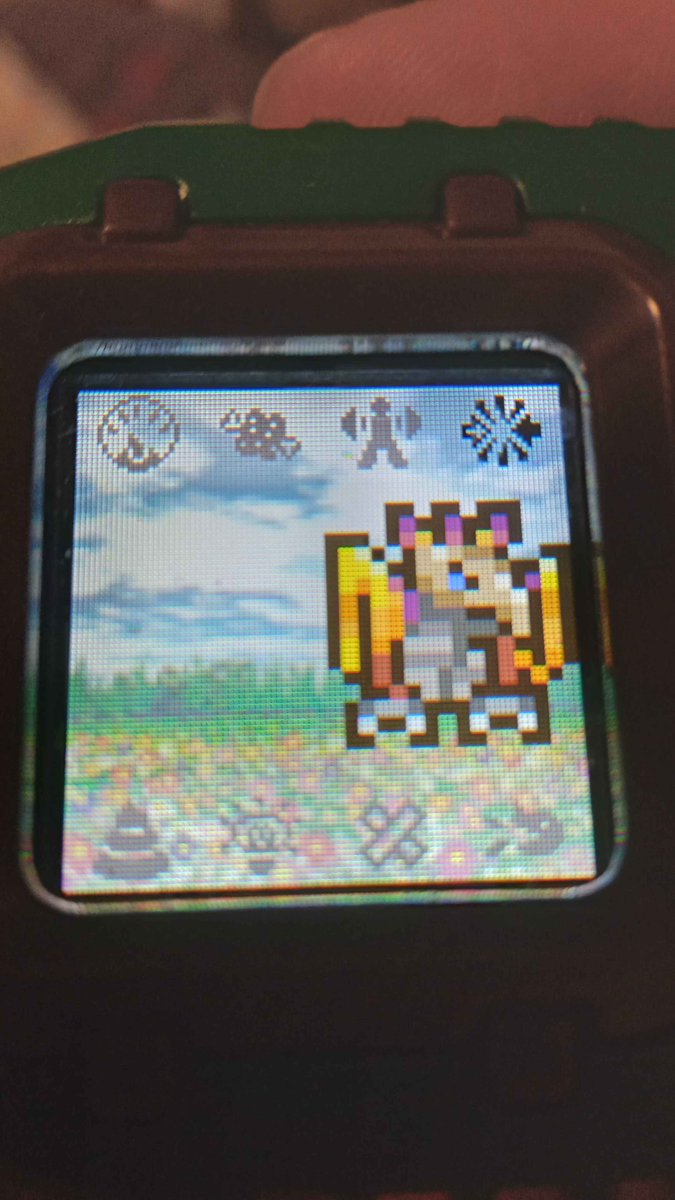 MasaruAniki's tweet photo. It became #Garudamon (look at it for a long time, after a while it sticks its tongue out at you^^)
And now it is #Phoenixmon^^
#digimon #tamagotchi #vpet https://t.co/l6L5WBU2iQ