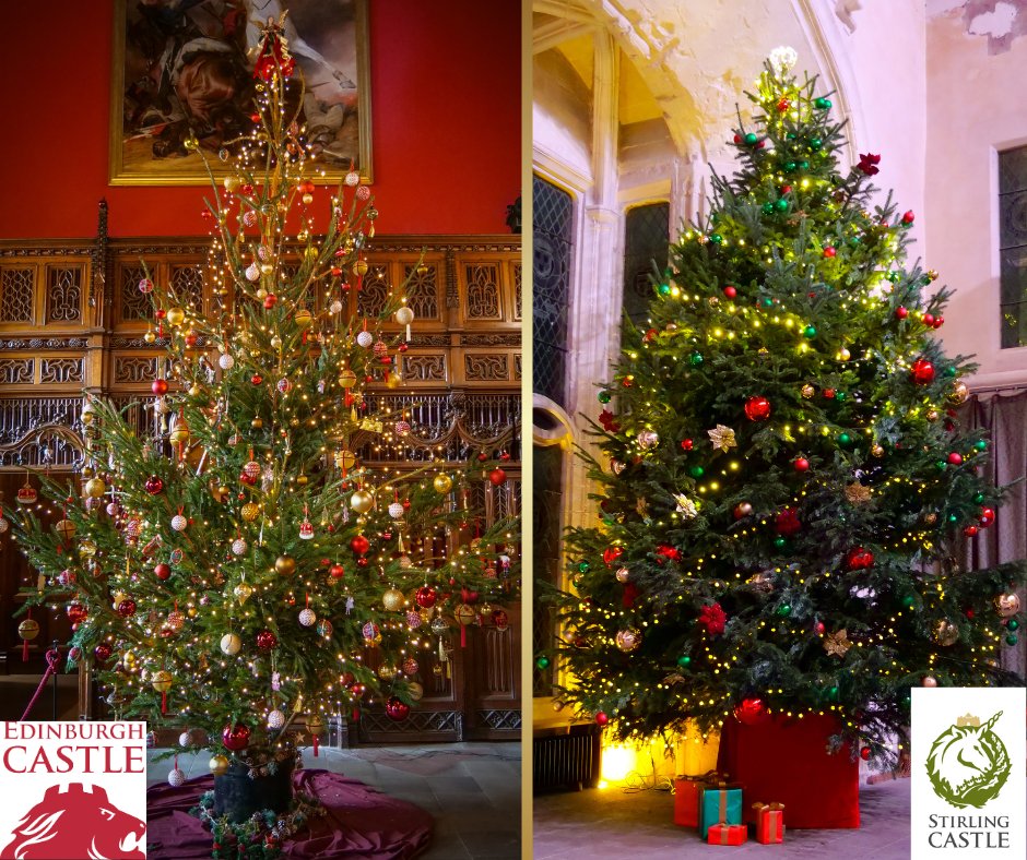 edinburghcastle's tweet photo. It's a Christmas Tree Battle! 🎄

We're ready to branch out and re-claim the winning title of #BattleOfTheChristmasTress

Cast your votes in the comment section below!

@stirlingcastle your not allowed to vote for yourself 🙈 https://t.co/UgyWgeGxfp