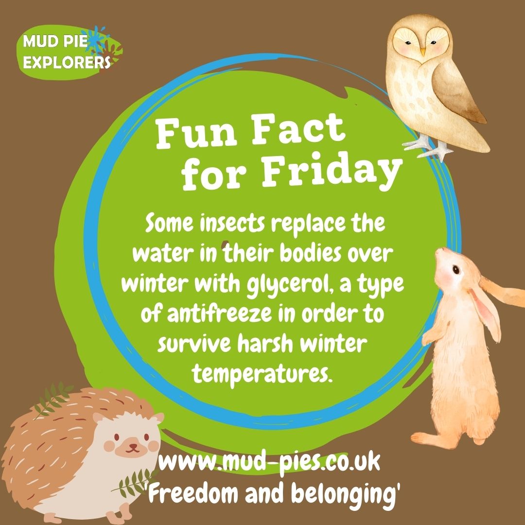 At Forest School our preferred antifreeze is hot chocolate 😆☕
#mudpieexplorers #bristol #newport #forestschool #fridayfact #facttimefriday #funfactfriday #nature #outdoorlearning
