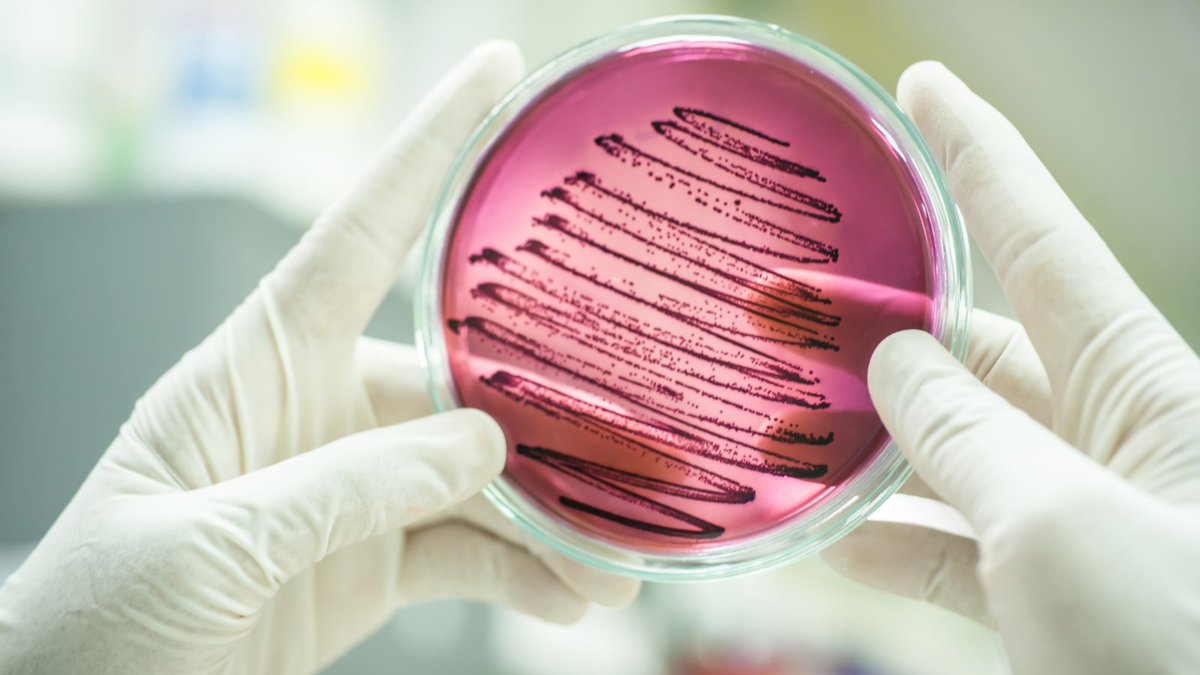 🚨 Laboratori de Referència de Catalunya and <a href="/ICO_oncologia/">Institut Català d'Oncologia</a>  are gearing up to launch tenders in the coming weeks. This second phase of the RaDAR tenders marks an opportunity to advance innovative solutions in the fight against #AMR.

Stay tuned here: lnkd.in/dT_7jisA