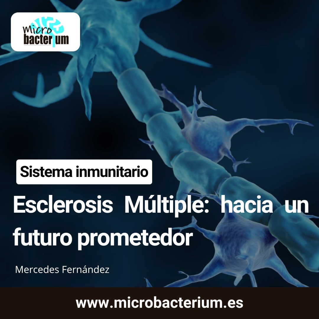La esclerosis múltiple es una enfermedad autoinmune 😷, de causa hasta ahora desconocida, caracterizada por múltiples lesiones 🩹 en el sistema nervioso central. 

Puedes leer el artículo completo 📝 en nuestra web 👉 microbacterium.es/esclerosis-mul…