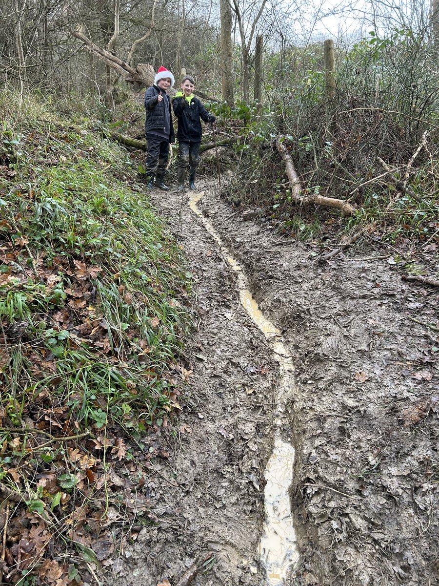 Warnham CE Primary tweet media