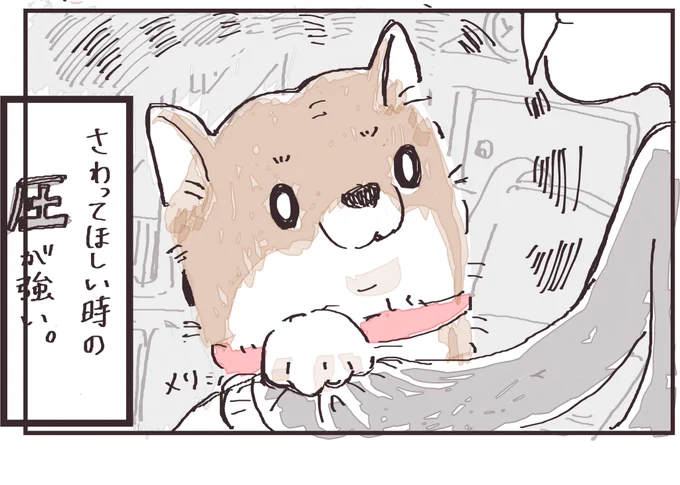 さわって。(0/2)

#漫画が読めるハッシュタグ  #柴犬 