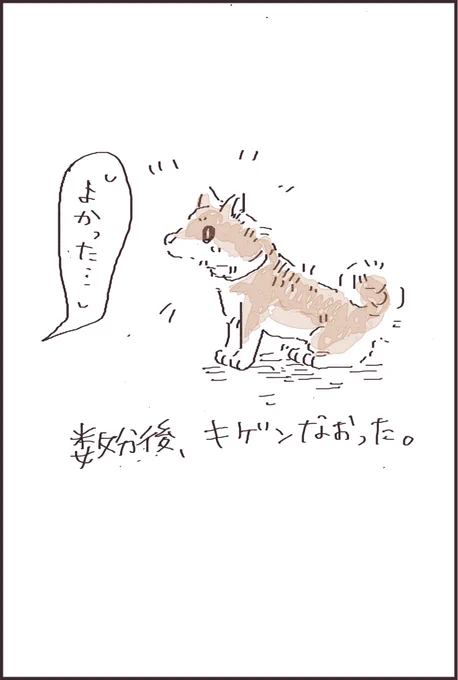 さわって。(2/2)

#漫画が読めるハッシュタグ  #柴犬 