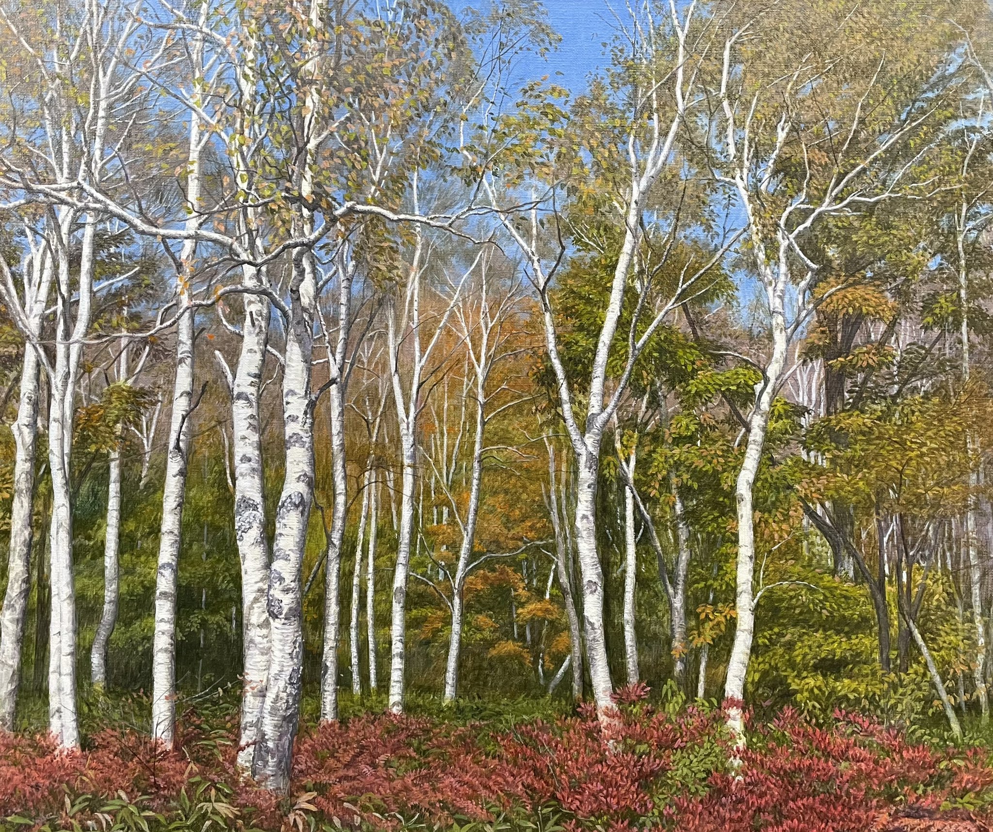 絵画 白樺林 Yoshida作 東山魁夷 白樺の丘 | 絵画など美術品