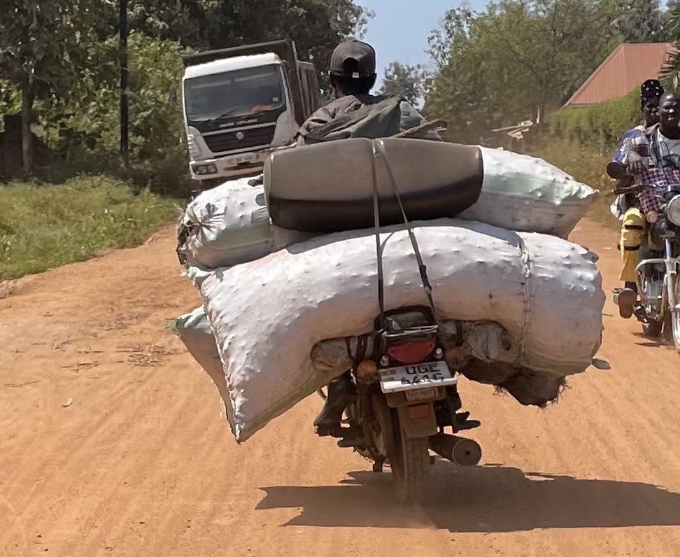 Friends of ZOKA. tweet media